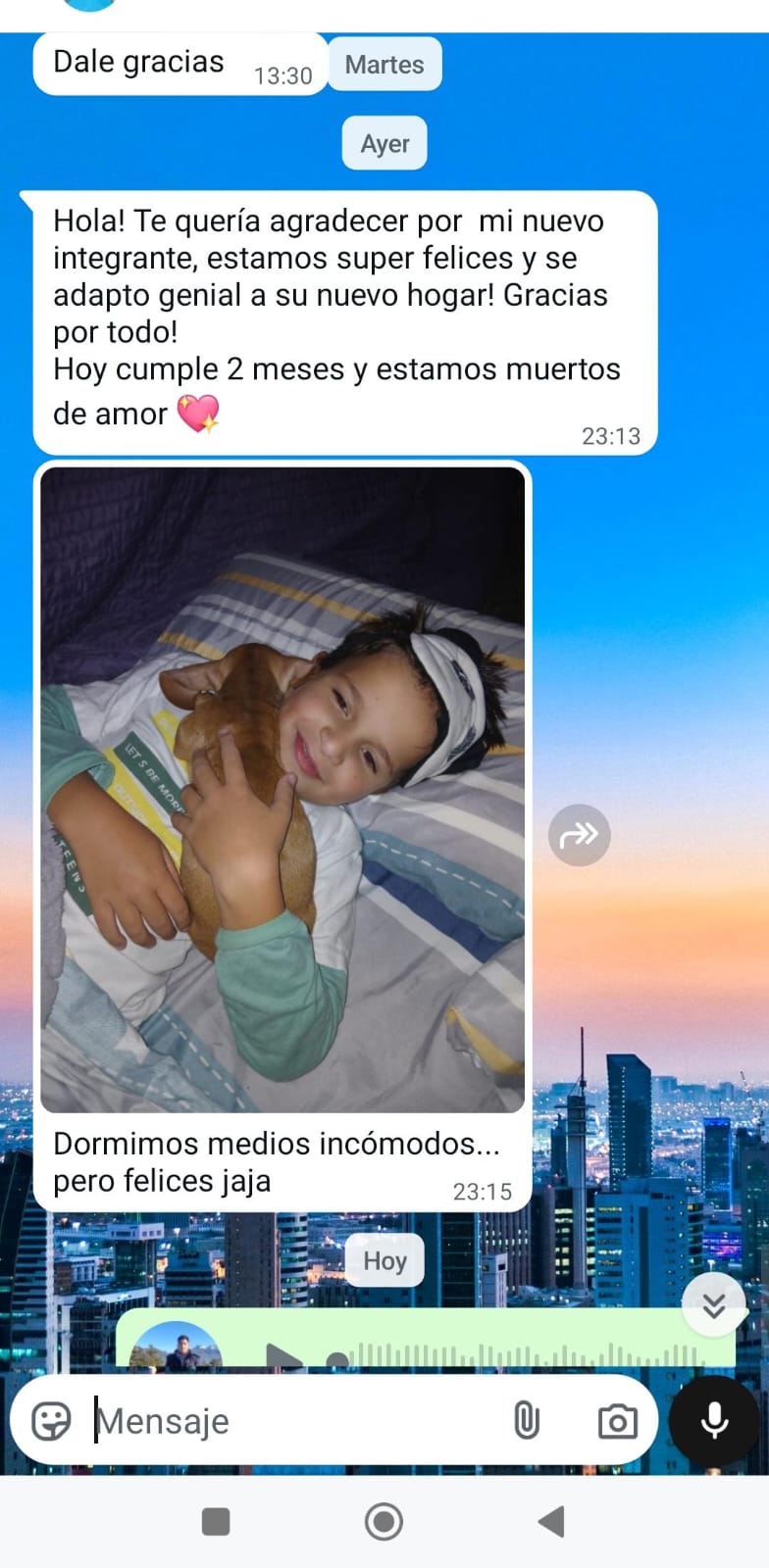 Historia de adopción 1