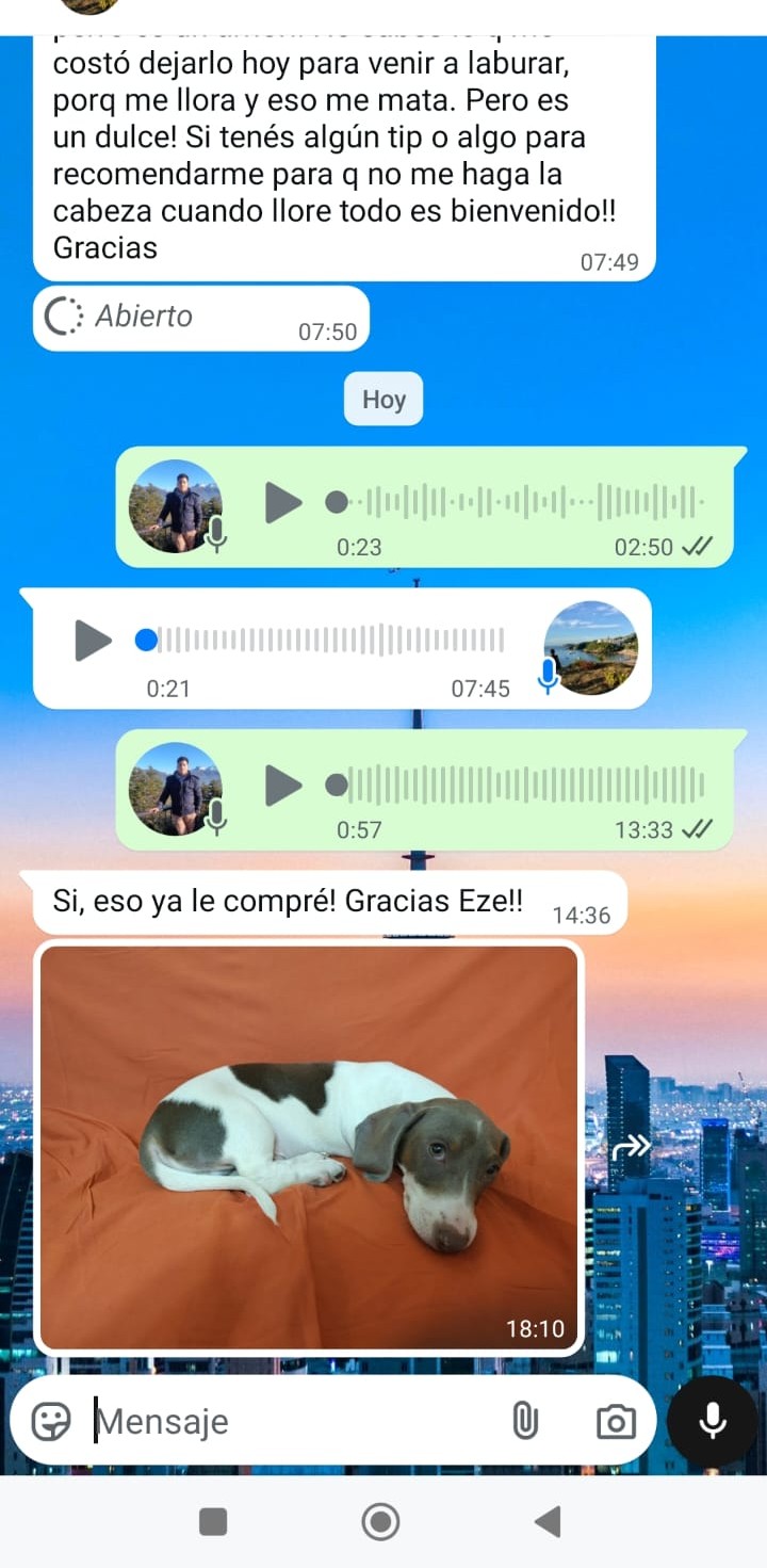 Historia de adopción 13