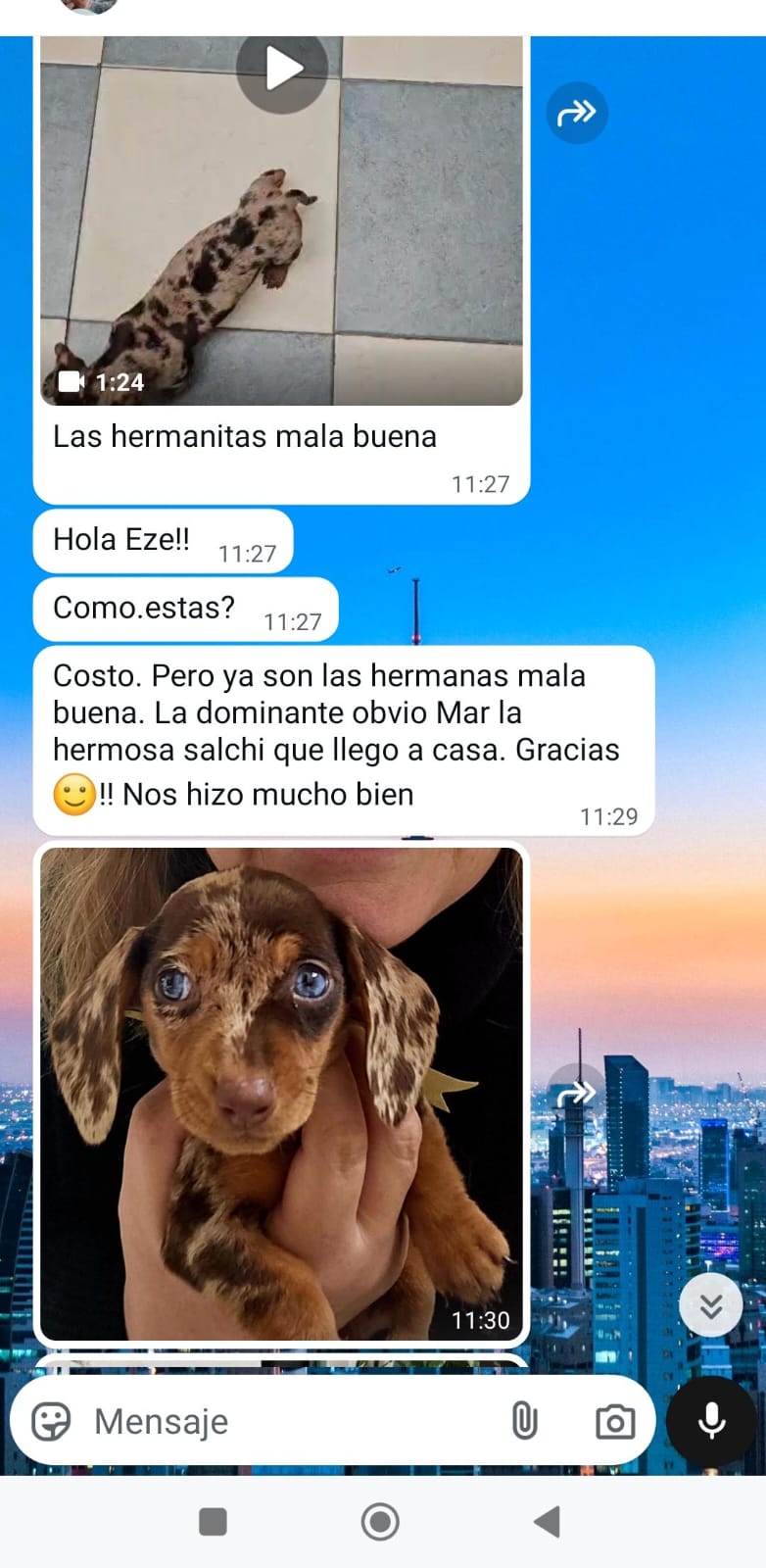 Historia de adopción 2