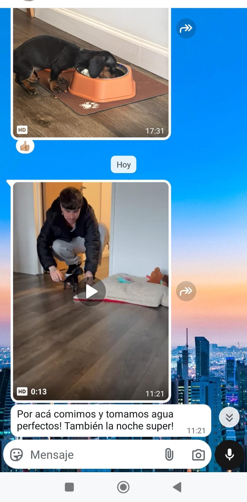 Historia de adopción 3