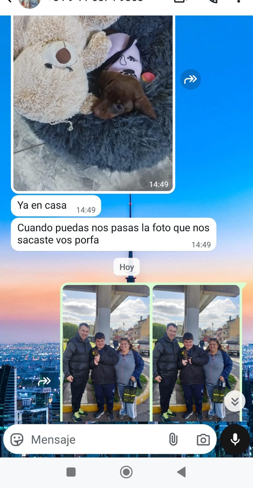 Historia de adopción 4