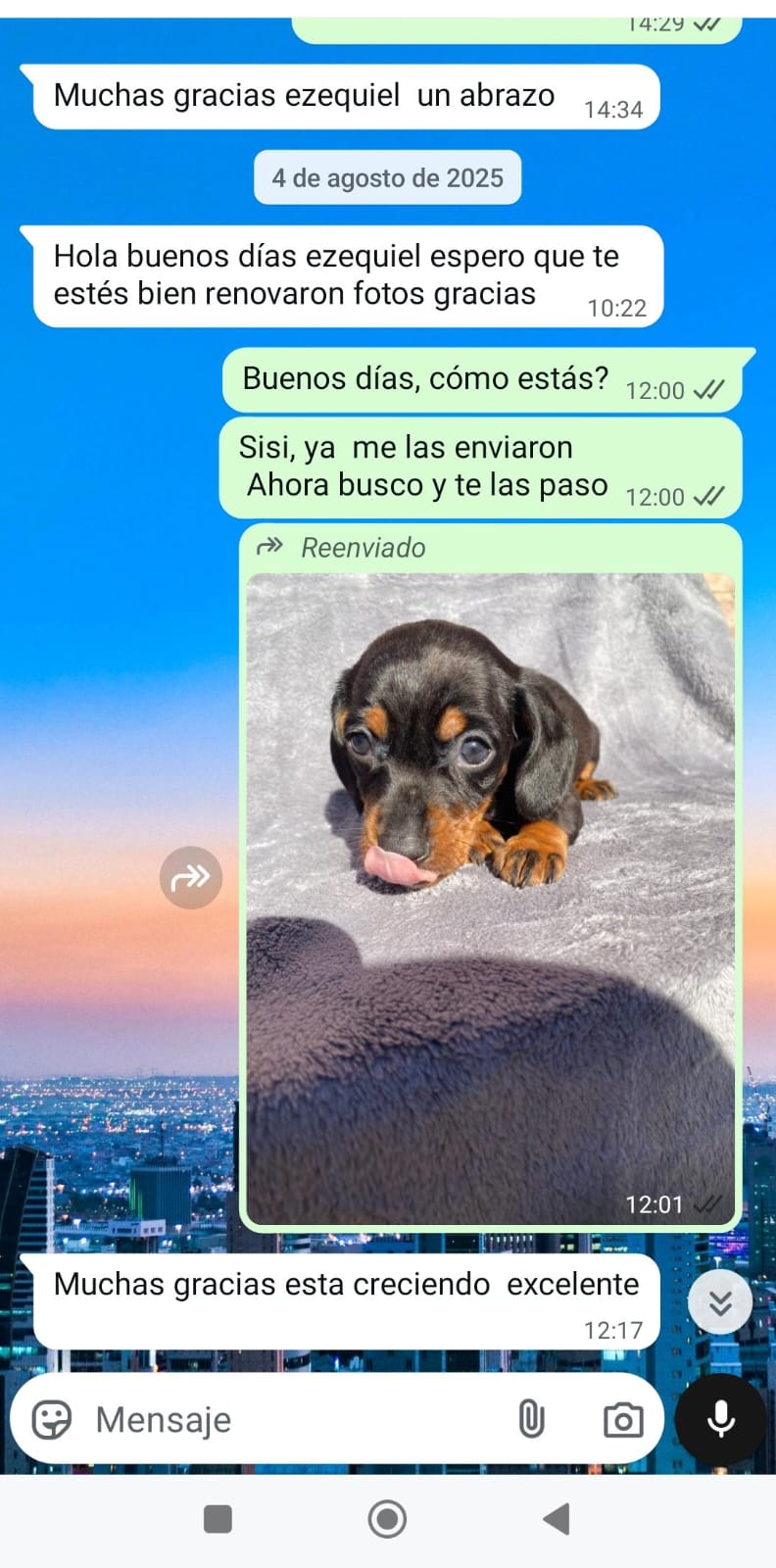 Historia de adopción 6