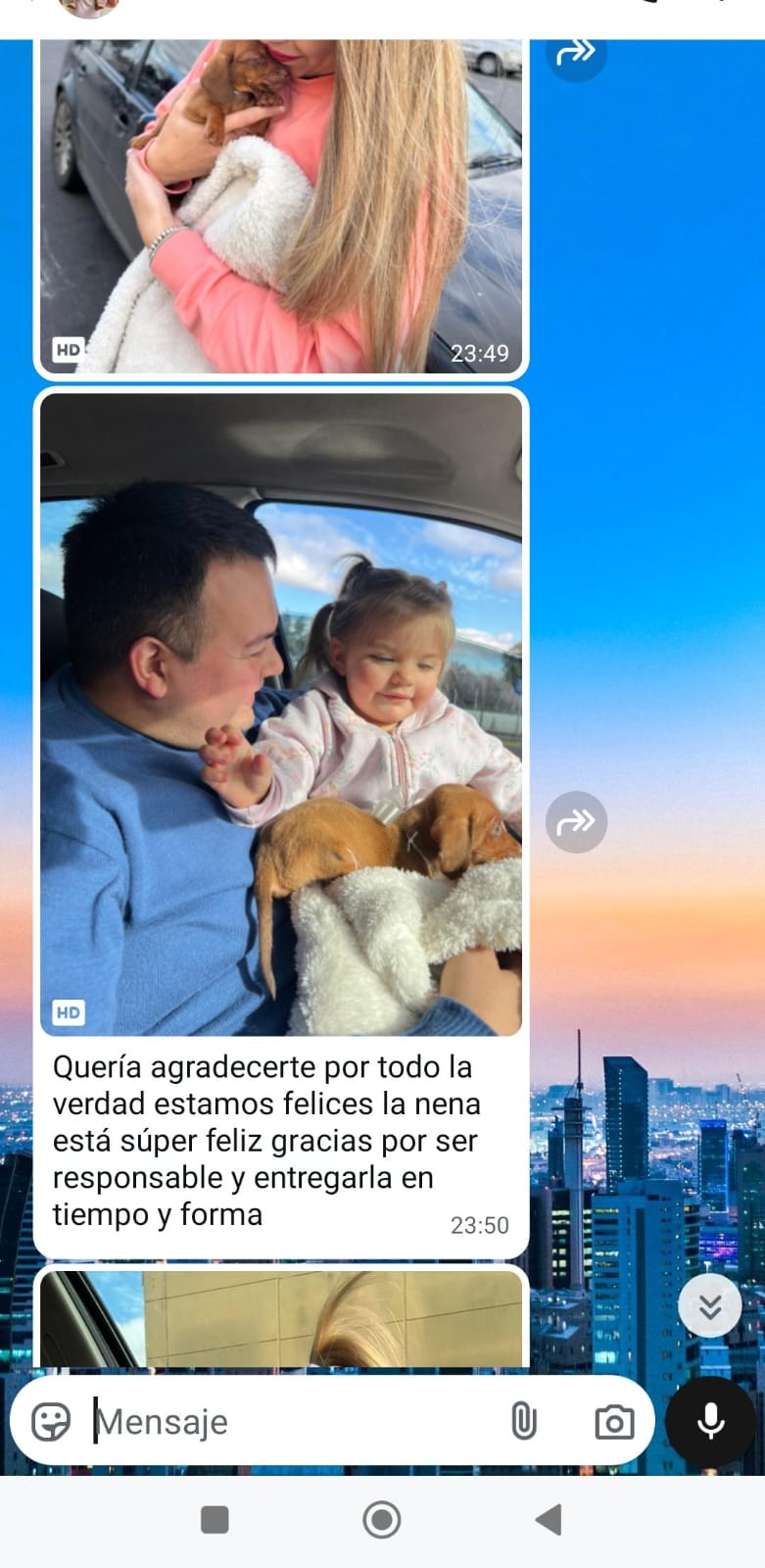 Historia de adopción 7